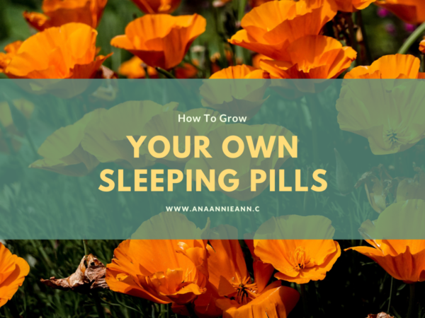 How To Grow Your Own Sleeping Pills
