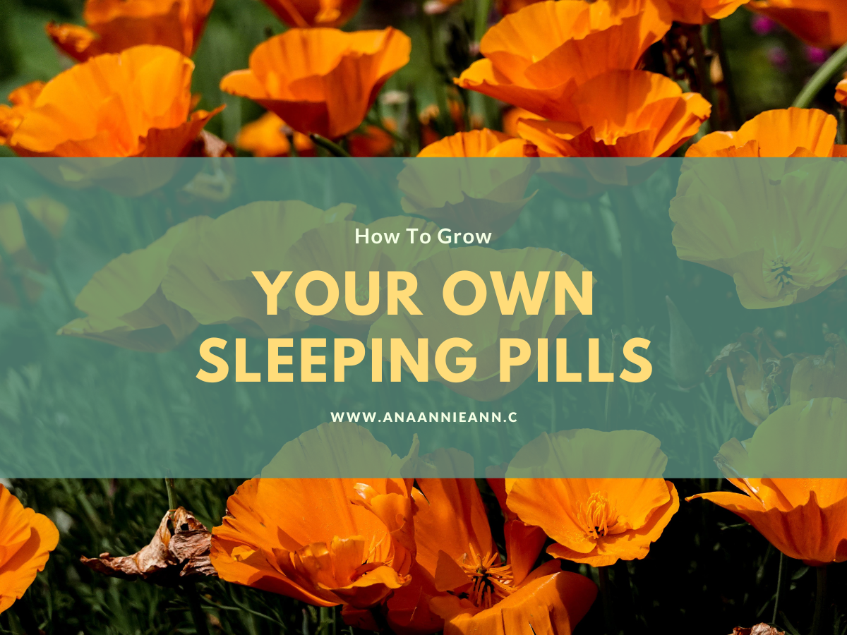 How to grow your own sleeping pills