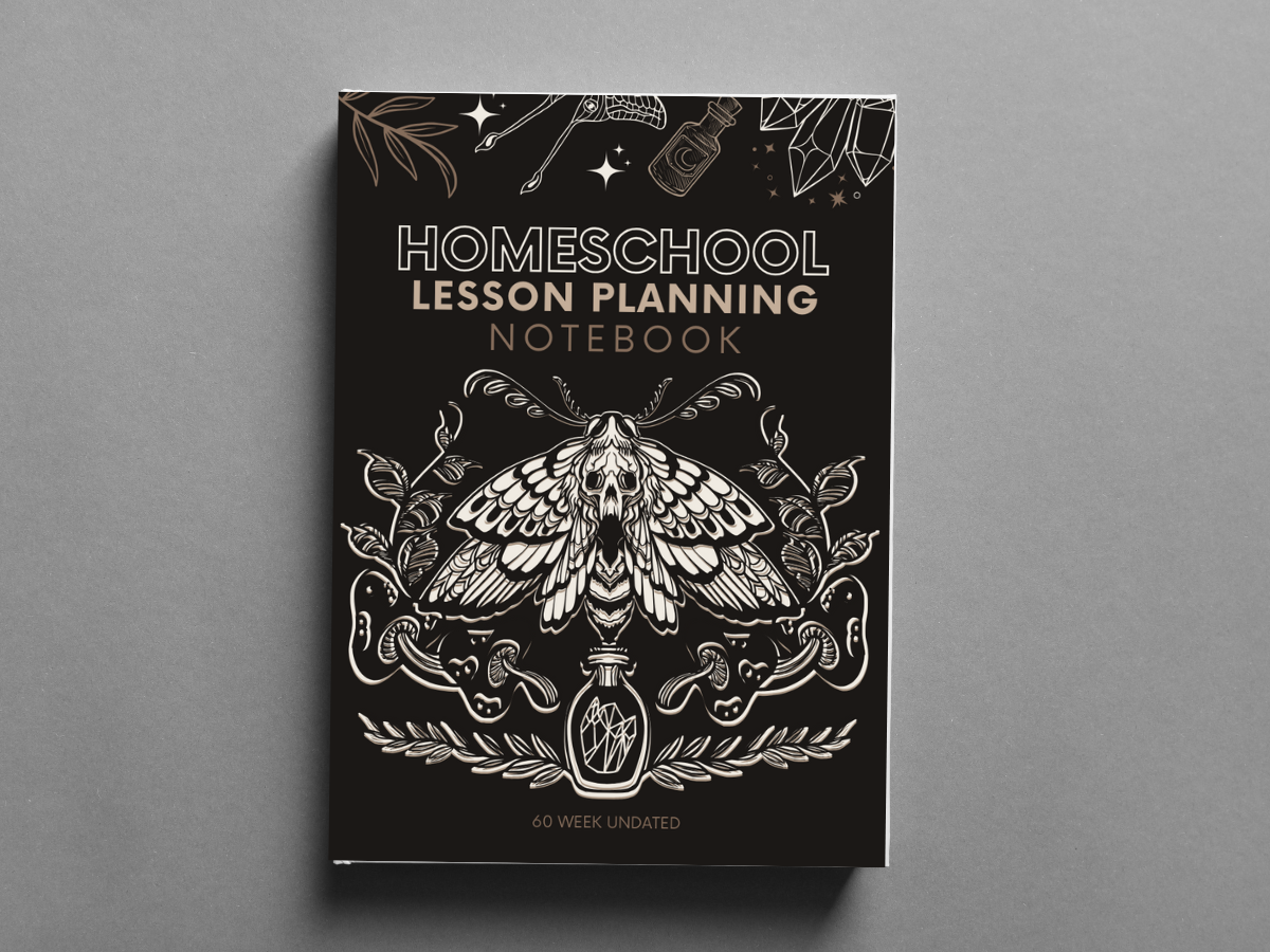 Secular Homeschooling Lesson Planner Notebook