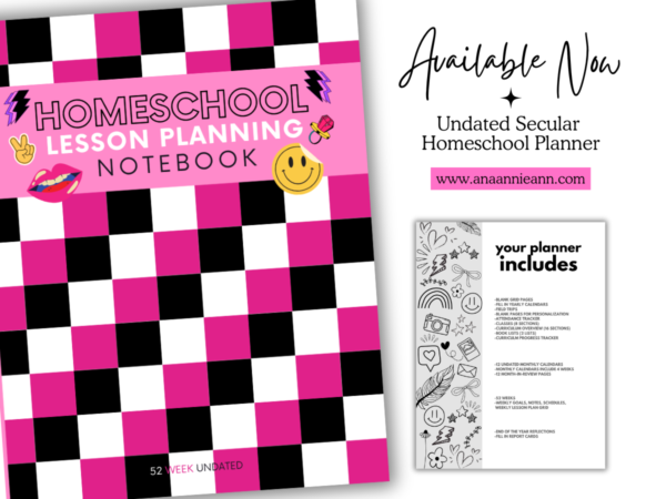 New Undated Secular Homeschool Planner: Pink Checkered